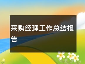 采购经理工作总结报告