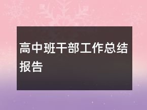 高中班干部工作总结报告