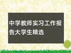 中学教师实习工作报告大学生精选