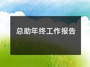 总助年终工作报告