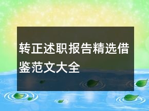 转正述职报告精选借鉴范文大全