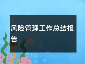 风险管理工作总结报告