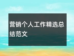 营销个人工作精选总结范文