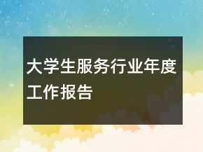 大学生服务行业年度工作报告
