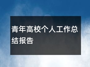 青年高校个人工作总结报告