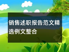 销售述职报告范文精选例文整合