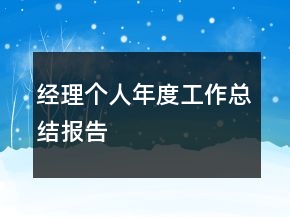 经理个人年度工作总结报告