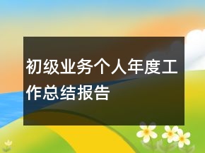 初级业务个人年度工作总结报告