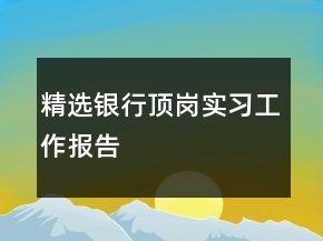 精选银行顶岗实习工作报告