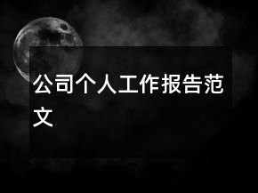 公司个人工作报告范文