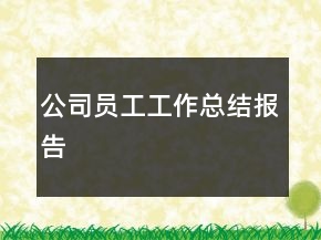 公司员工工作总结报告
