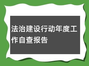 法治建设行动年度工作自查报告