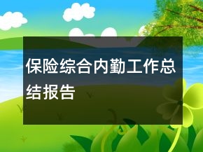 保险综合内勤工作总结报告