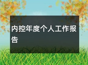 内控年度个人工作报告