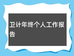卫计年终个人工作报告