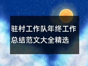 驻村工作队年终工作总结范文大全精选