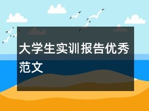 大学生实训报告优秀范文