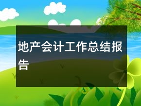 地产会计工作总结报告