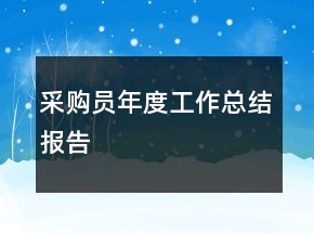 采购员年度工作总结报告