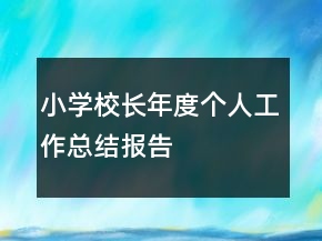 小学校长年度个人工作总结报告
