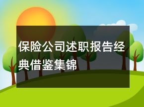 保险公司述职报告经典借鉴集锦