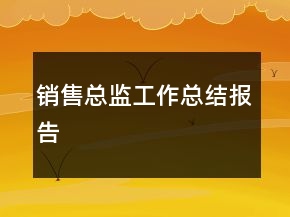销售总监工作总结报告