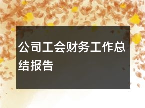 公司工会财务工作总结报告