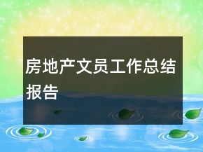 房地产文员工作总结报告