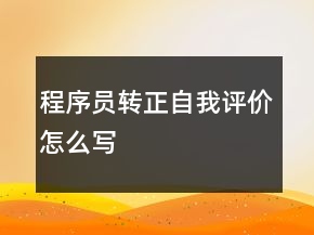 程序员转正自我评价怎么写