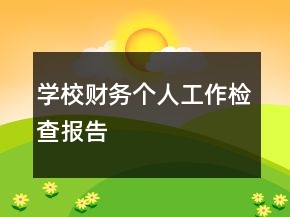 学校财务个人工作检查报告