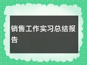 销售工作实习总结报告