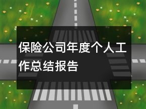 保险公司年度个人工作总结报告