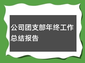 公司团支部年终工作总结报告