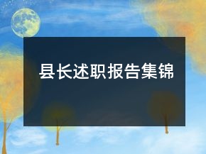 县长述职报告集锦