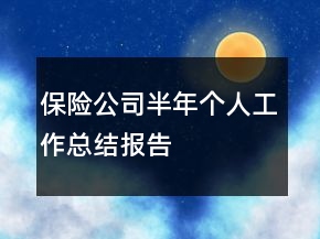 保险公司半年个人工作总结报告