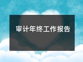 审计年终工作报告