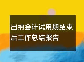 出纳会计试用期结束后工作总结报告