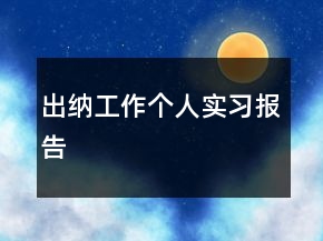 出纳工作个人实习报告