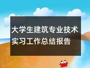 大学生建筑专业技术实习工作总结报告