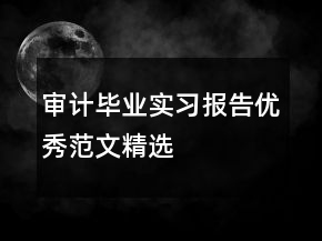审计毕业实习报告优秀范文精选