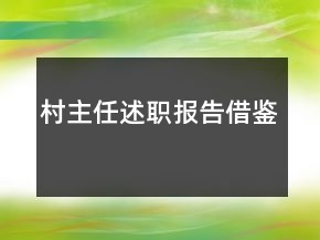 村主任述职报告借鉴