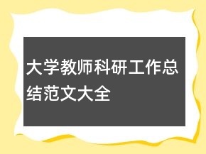 大学教师科研工作总结范文大全