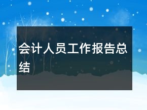 会计人员工作报告总结