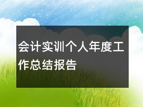 会计实训个人年度工作总结报告