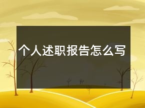 个人述职报告怎么写