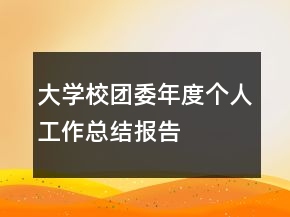 大学校团委年度个人工作总结报告