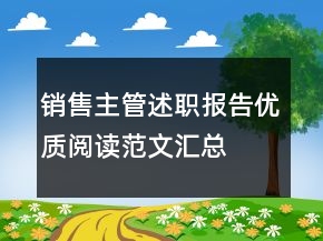 销售主管述职报告优质阅读范文汇总