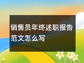 销售员年终述职报告范文怎么写