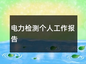 电力检测个人工作报告