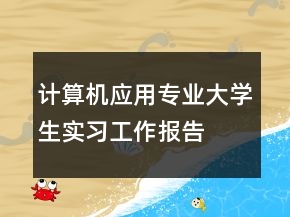 计算机应用专业大学生实习工作报告